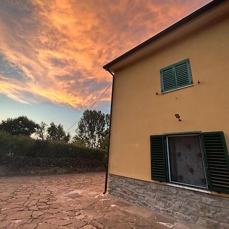 Гостевой дом Il Gelso Trivigno Экстерьер фото